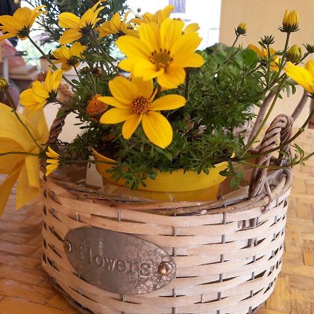罗马Flowery House公寓 外观 照片