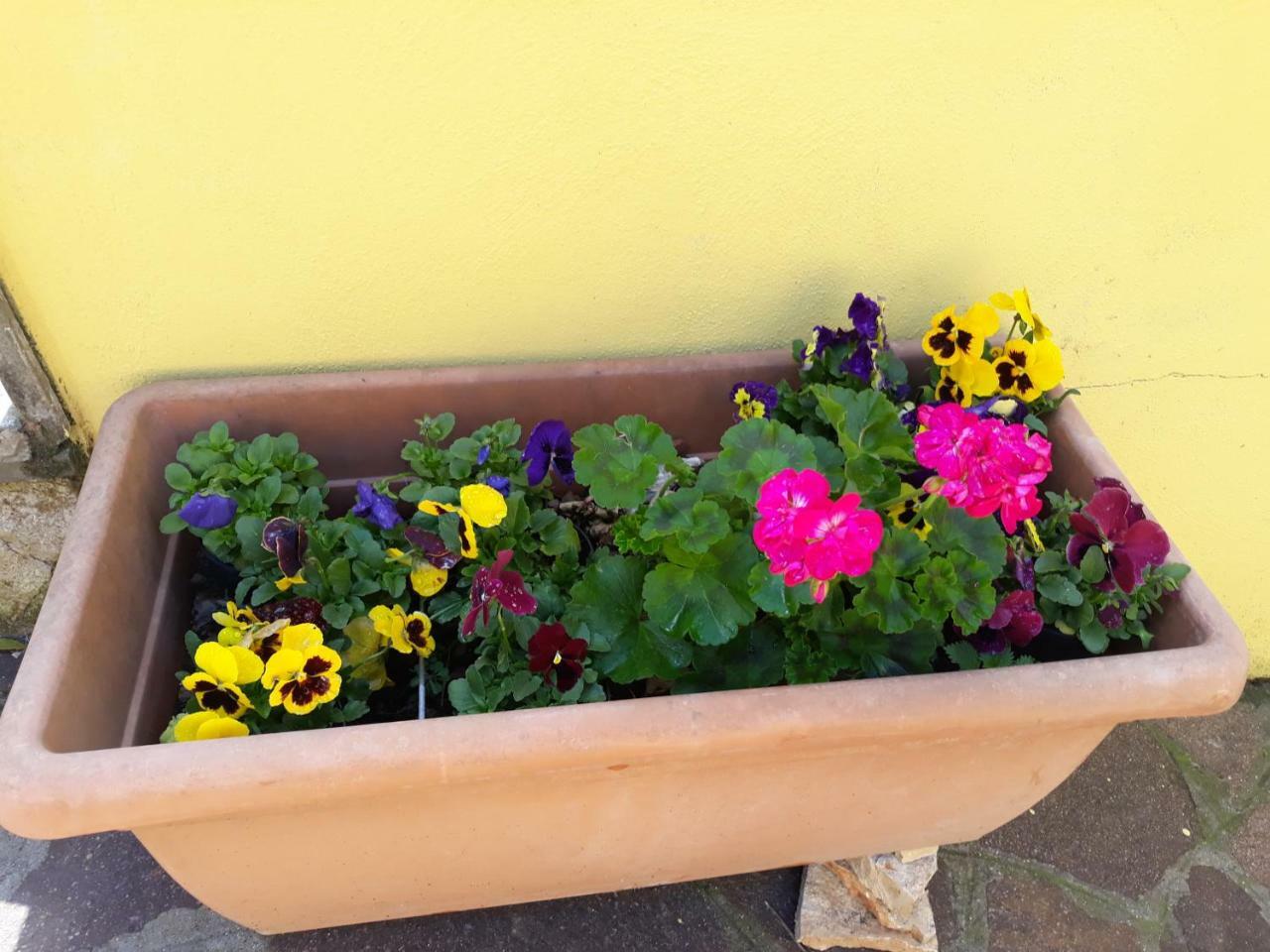 罗马Flowery House公寓 外观 照片