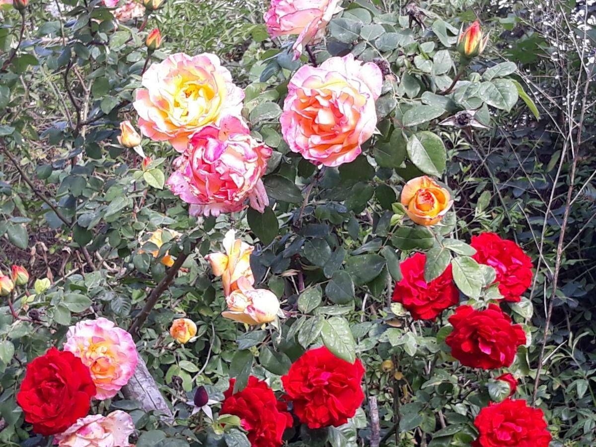 罗马Flowery House公寓 外观 照片
