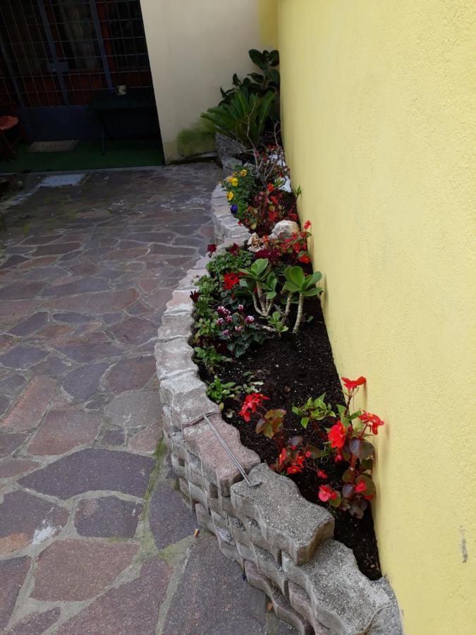 罗马Flowery House公寓 外观 照片
